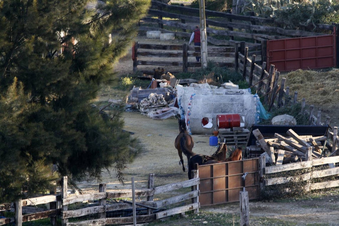 Así ha quedado la finca de Morante de la Puebla tras el incendio
