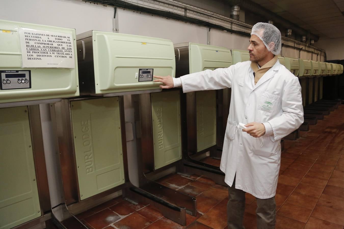 El nuevo tren de lavado de la cocina del Reina Sofía, en imágenes