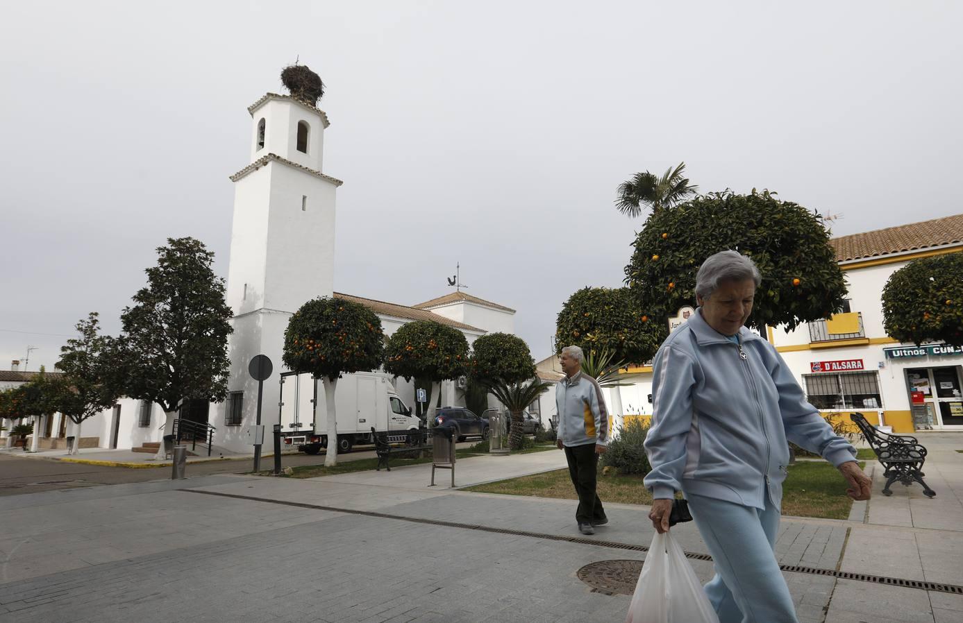 Paseo fotográfico por Encinarejo