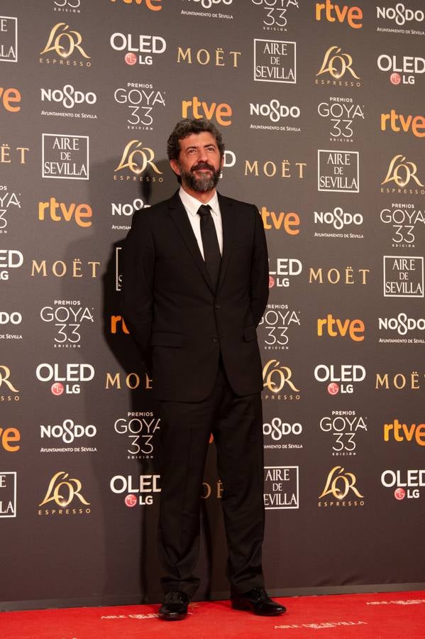Premios Goya 2019: El cine se viste de gala en Sevilla (II)
