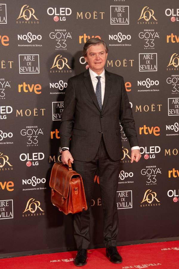 Premios Goya 2019: El cine se viste de gala en Sevilla (II)