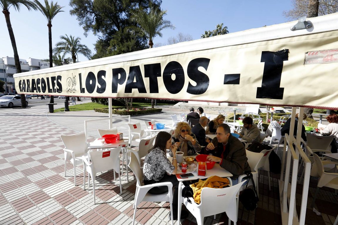 En imágenes, el arranque de la temporada de caracoles en Córdoba