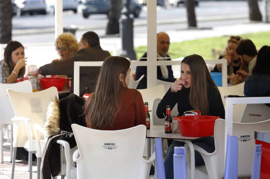 En imágenes, el arranque de la temporada de caracoles en Córdoba