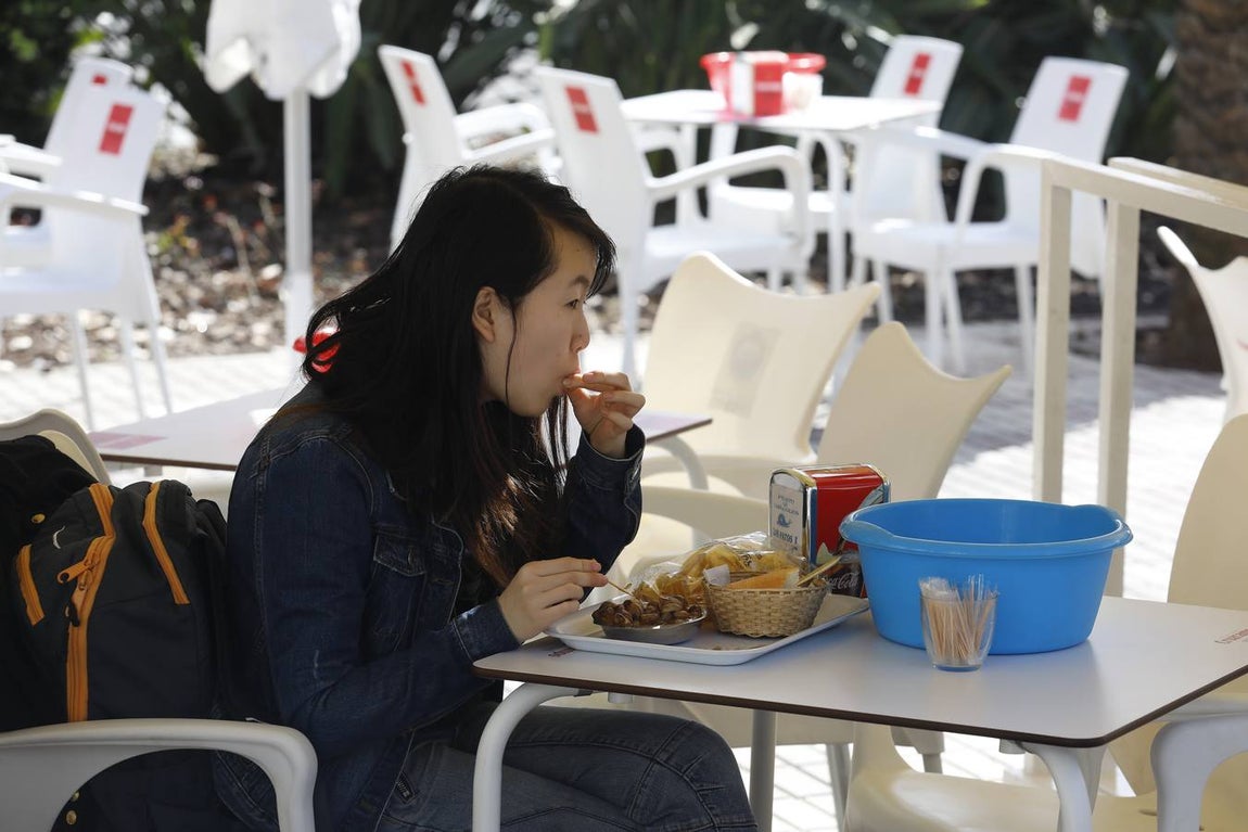 En imágenes, el arranque de la temporada de caracoles en Córdoba