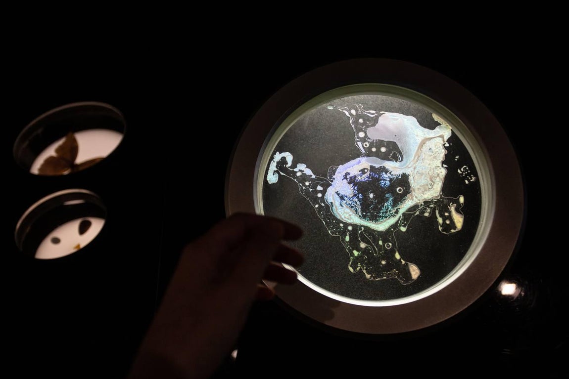 En imágenes: CaixaForum celebra su segundo aniversario en Sevilla con Ciencia