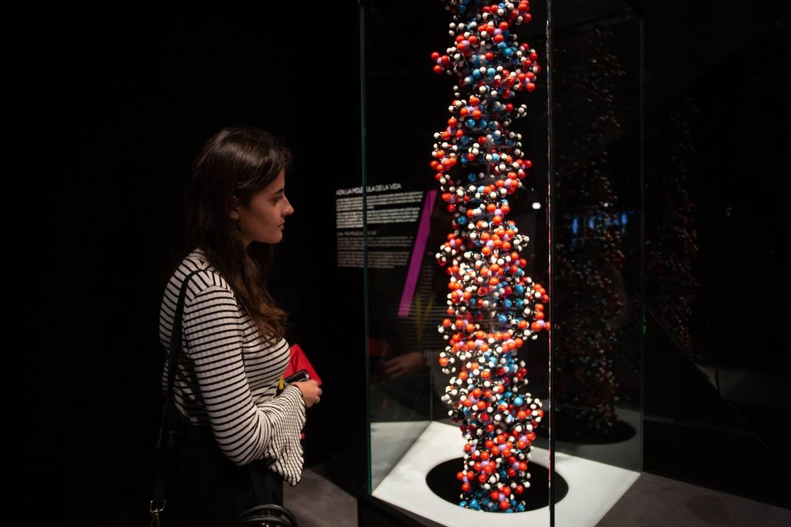 En imágenes: CaixaForum celebra su segundo aniversario en Sevilla con Ciencia