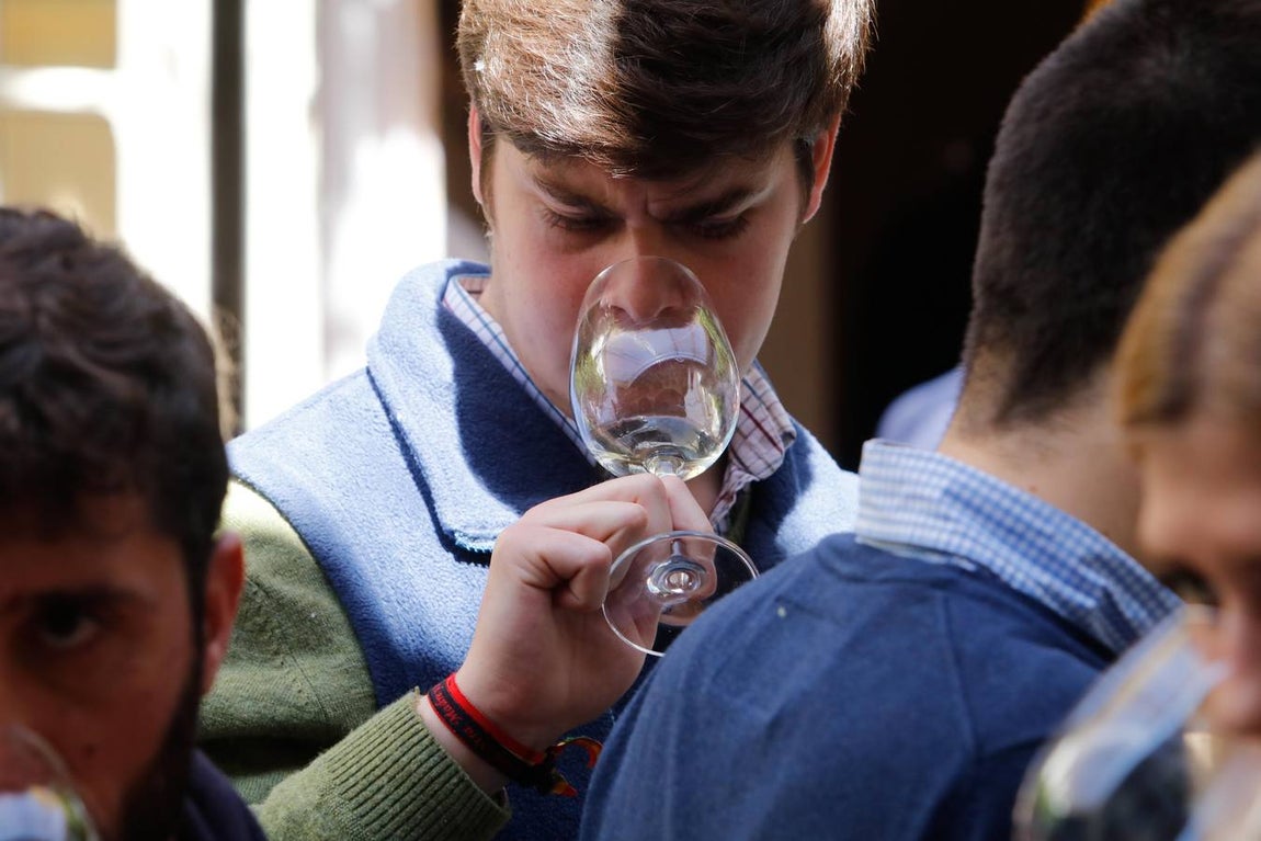 La cata de los mejores vinos de España en Bodegas Campos, en imágenes