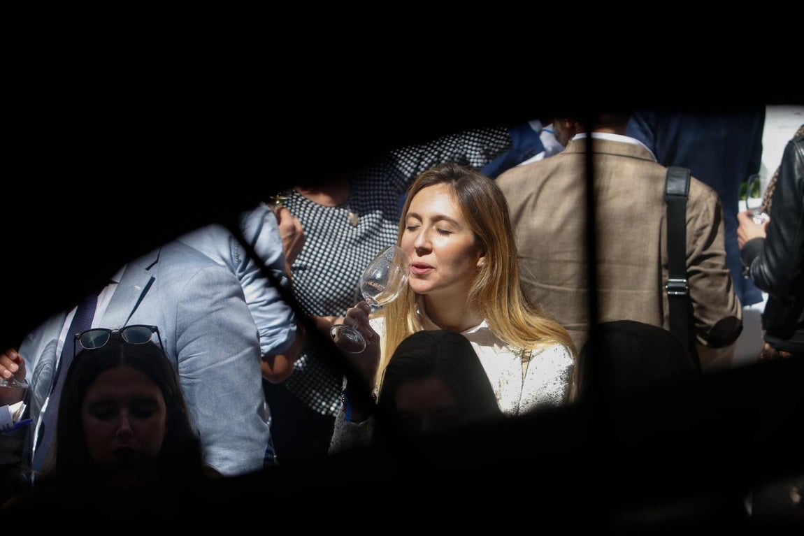 La cata de los mejores vinos de España en Bodegas Campos, en imágenes