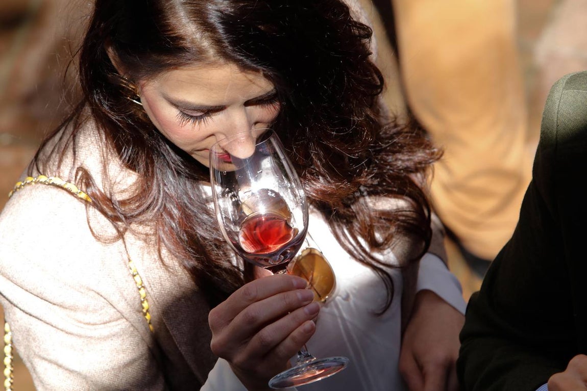 La cata de los mejores vinos de España en Bodegas Campos, en imágenes