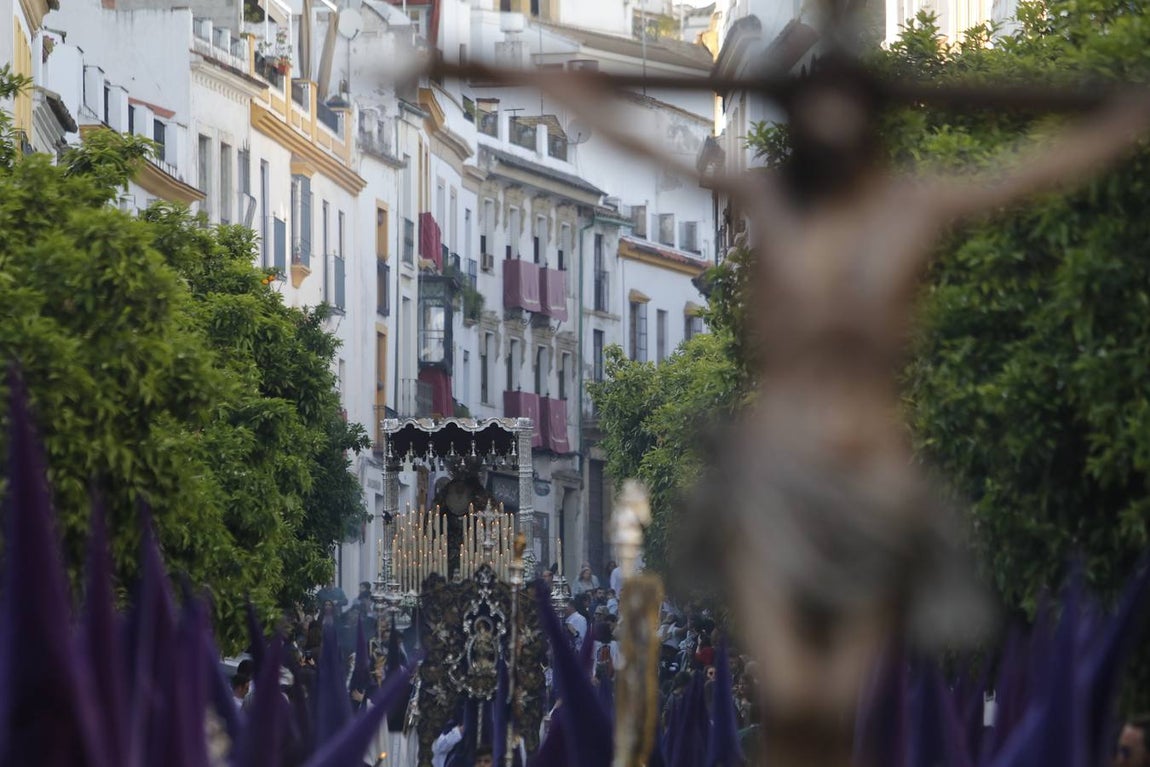 La procesión del Císter de Córdoba, en imágenes