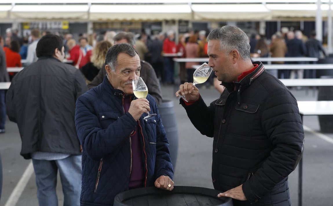 El primer día de la Cata de Vino de Córdoba 2019, en imágenes