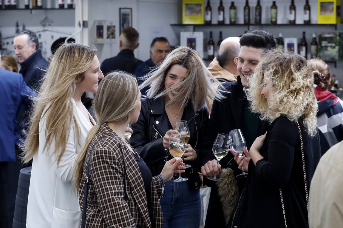 El primer día de la Cata de Vino de Córdoba 2019, en imágenes