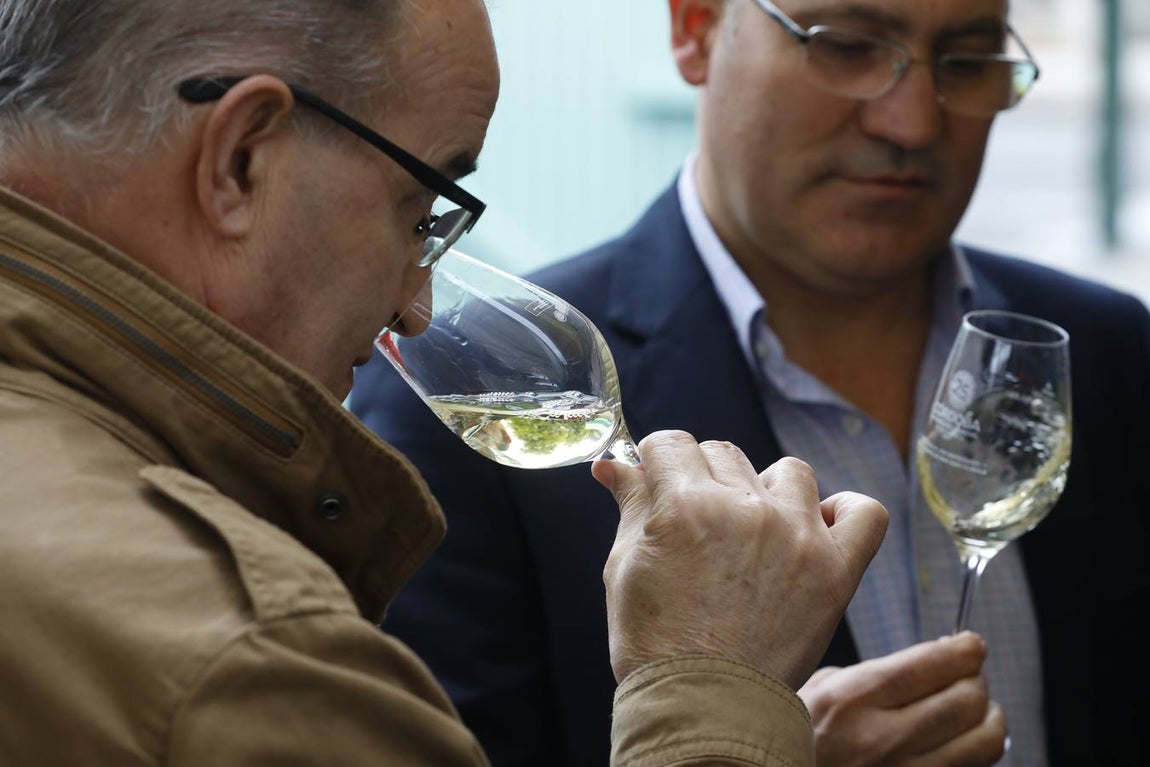 El primer día de la Cata de Vino de Córdoba 2019, en imágenes