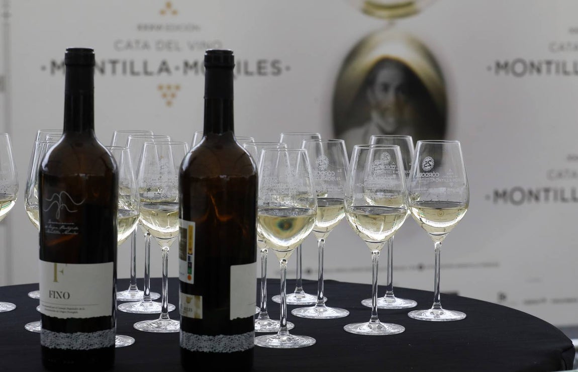 El primer día de la Cata de Vino de Córdoba 2019, en imágenes