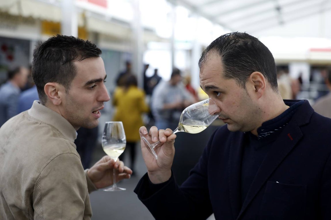 El primer día de la Cata de Vino de Córdoba 2019, en imágenes