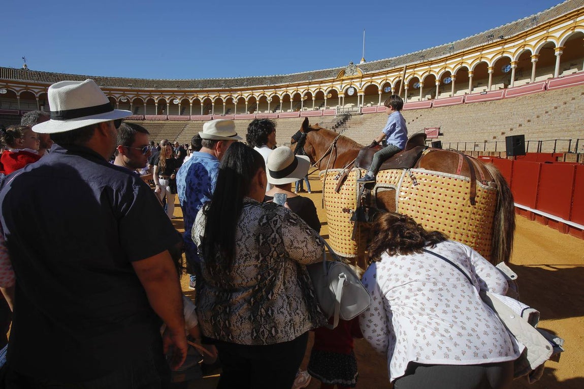 Jornada de puertas abiertas en la Plaza de Toros de la Real Maestranza de Sevilla