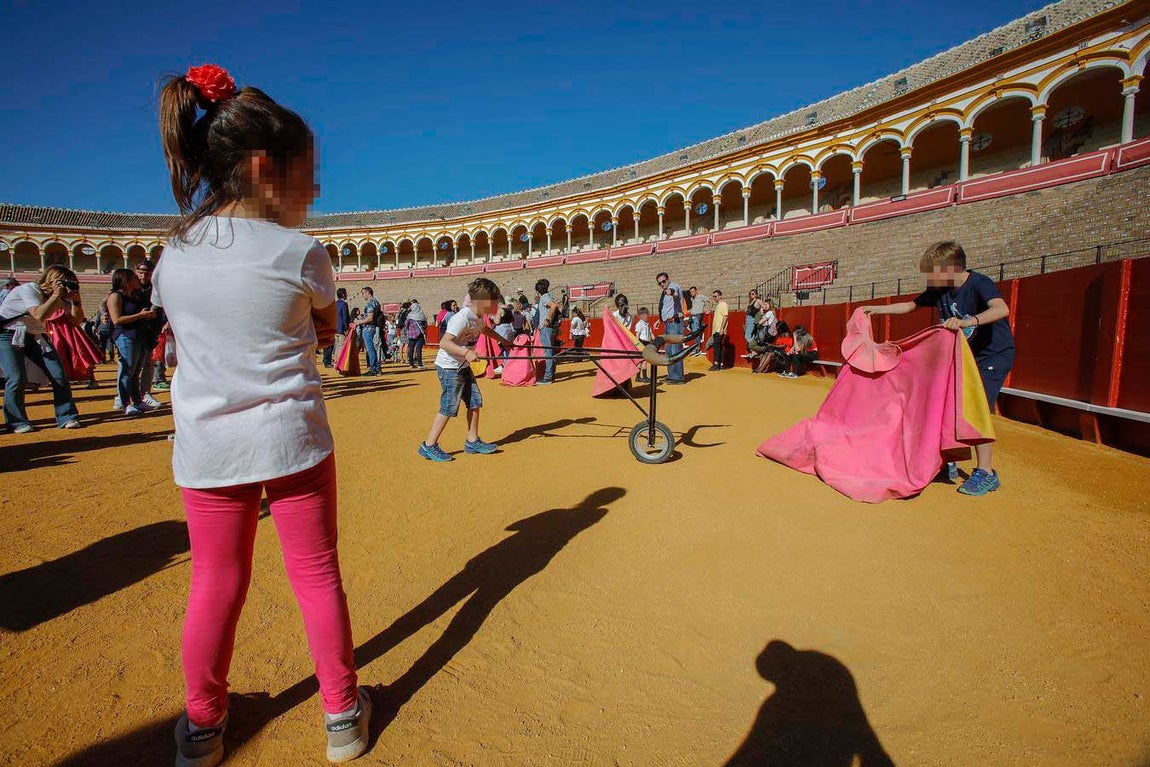 Jornada de puertas abiertas en la Plaza de Toros de la Real Maestranza de Sevilla