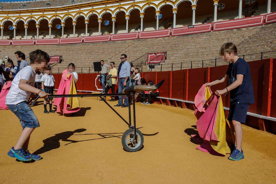 Jornada de puertas abiertas en la Plaza de Toros de la Real Maestranza de Sevilla