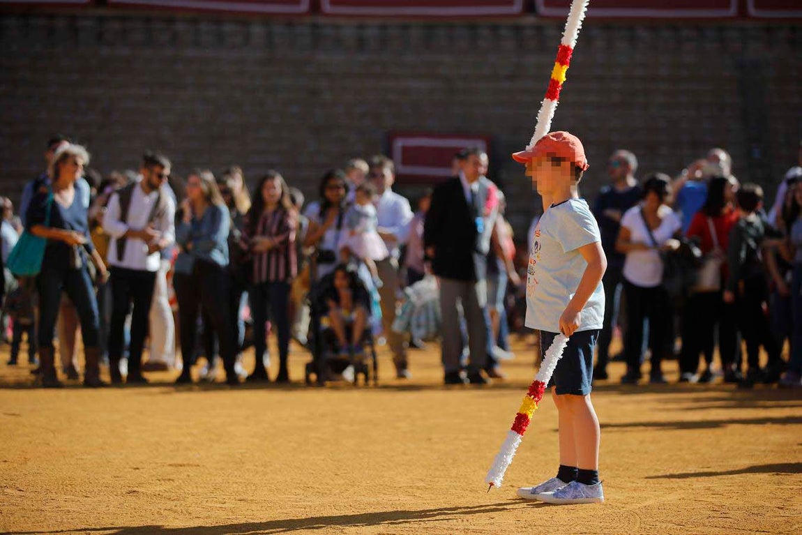 Jornada de puertas abiertas en la Plaza de Toros de la Real Maestranza de Sevilla