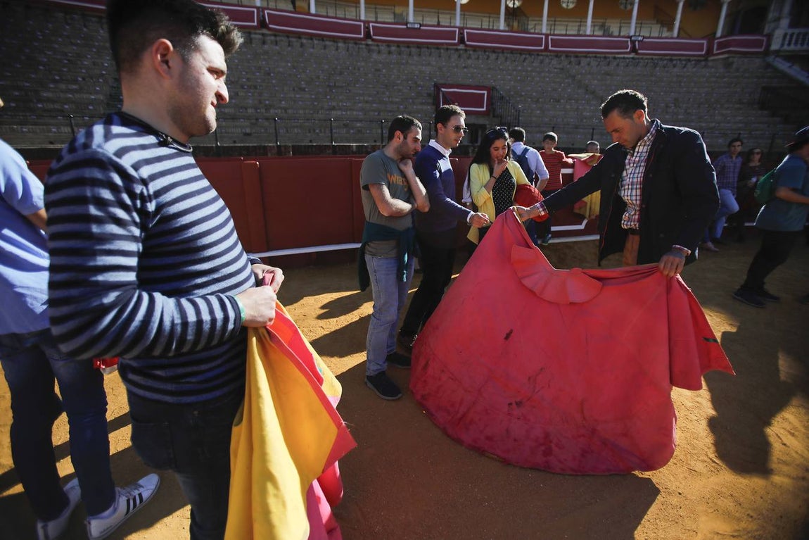 Jornada de puertas abiertas en la Plaza de Toros de la Real Maestranza de Sevilla