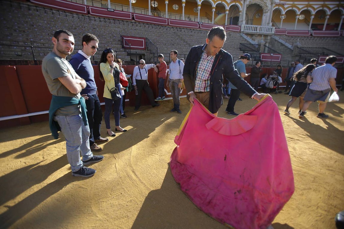 Jornada de puertas abiertas en la Plaza de Toros de la Real Maestranza de Sevilla
