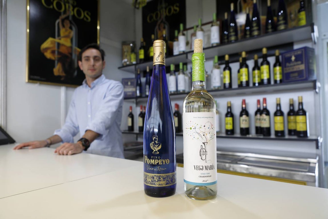 Las bodegas de la Cata del Vino Montilla-Moriles, en imágenes