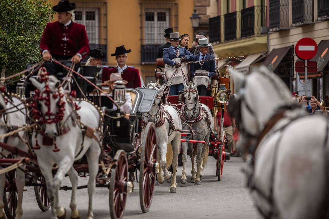En imágenes, el Concurso y posterior paseo de los Enganches por Sevilla
