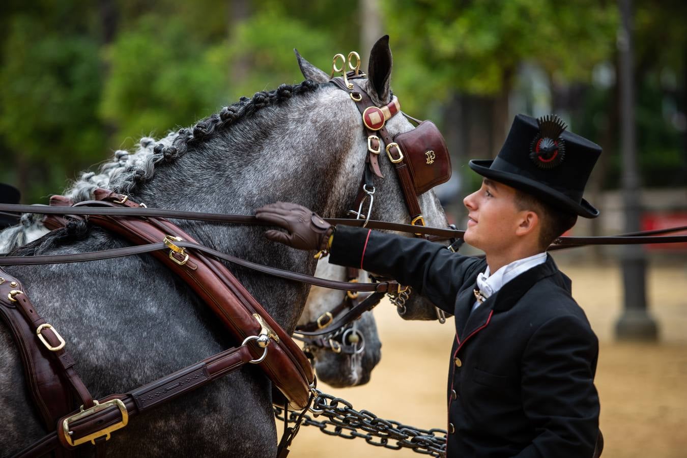 En imágenes, el Concurso y posterior paseo de los Enganches por Sevilla