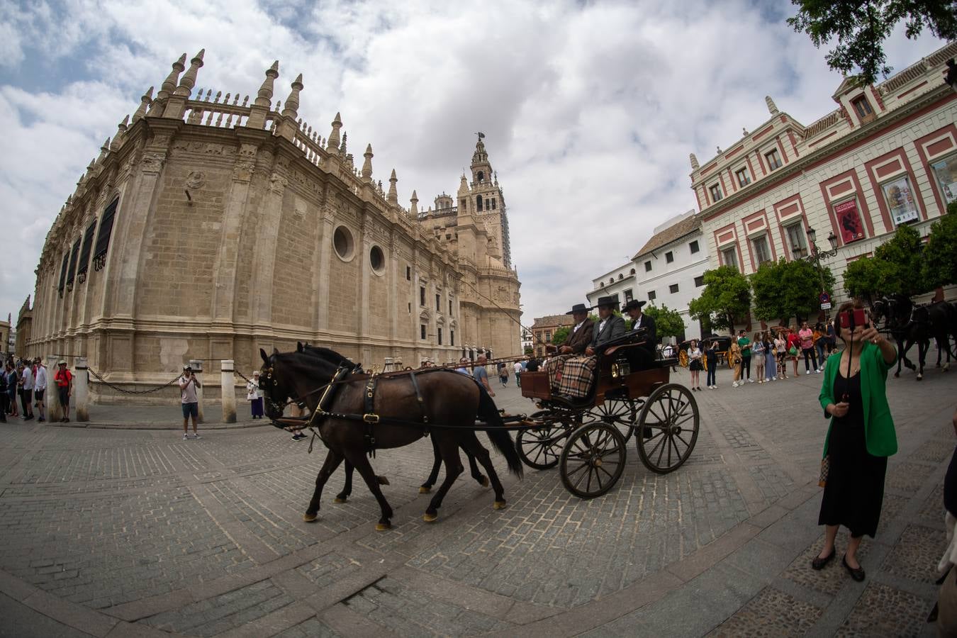 En imágenes, el Concurso y posterior paseo de los Enganches por Sevilla