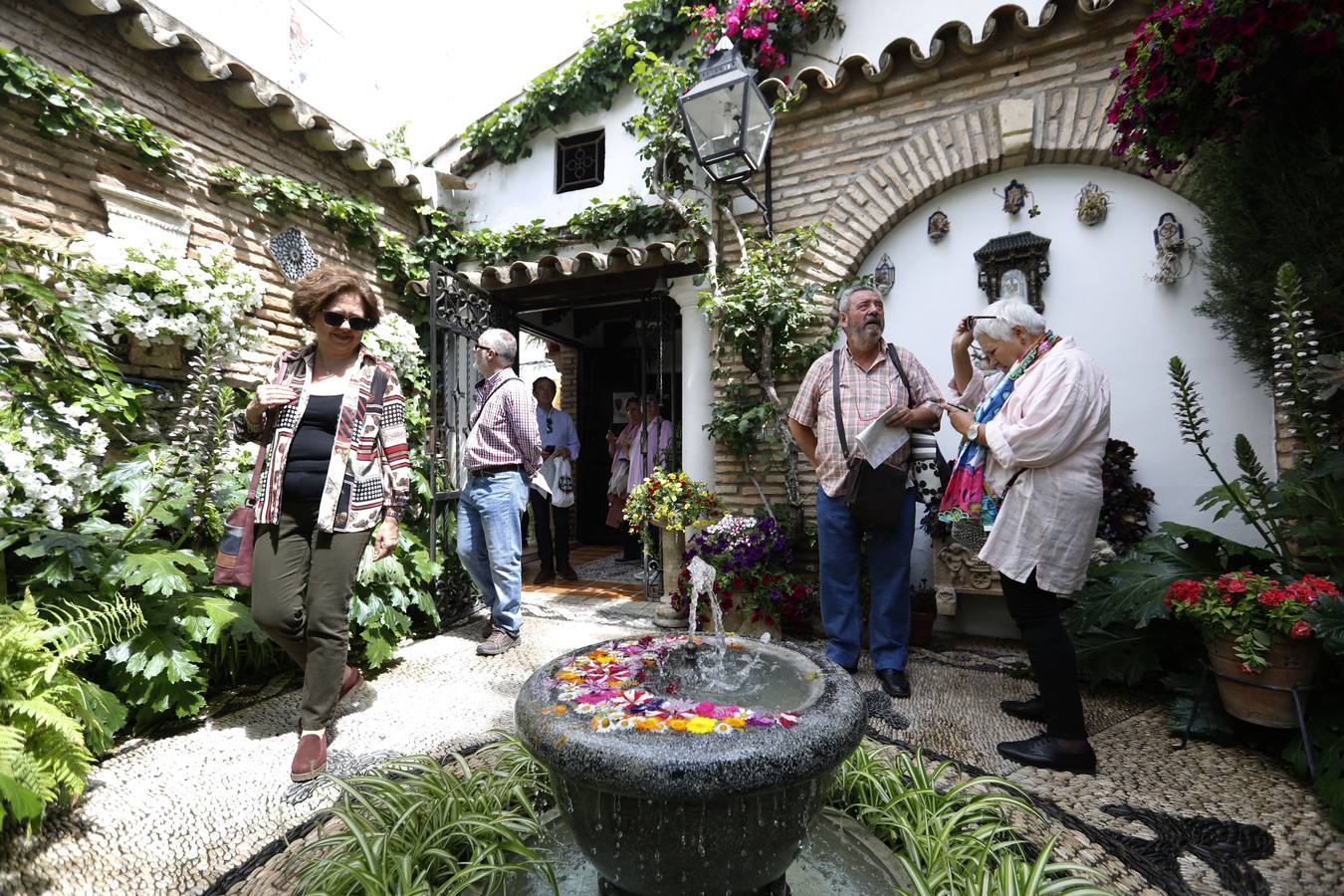 La belleza de los Patios de Córdoba en San Pedro, en imágenes