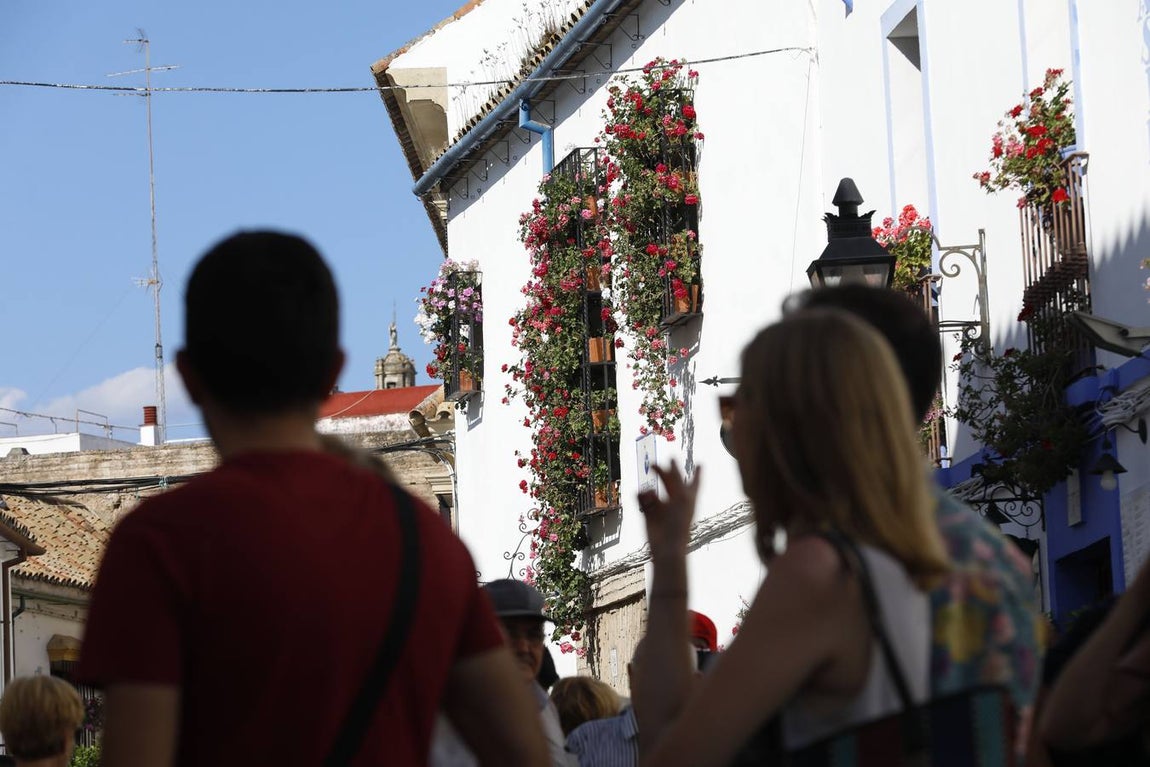 Las rejas y balcones de Córdoba, en imágenes