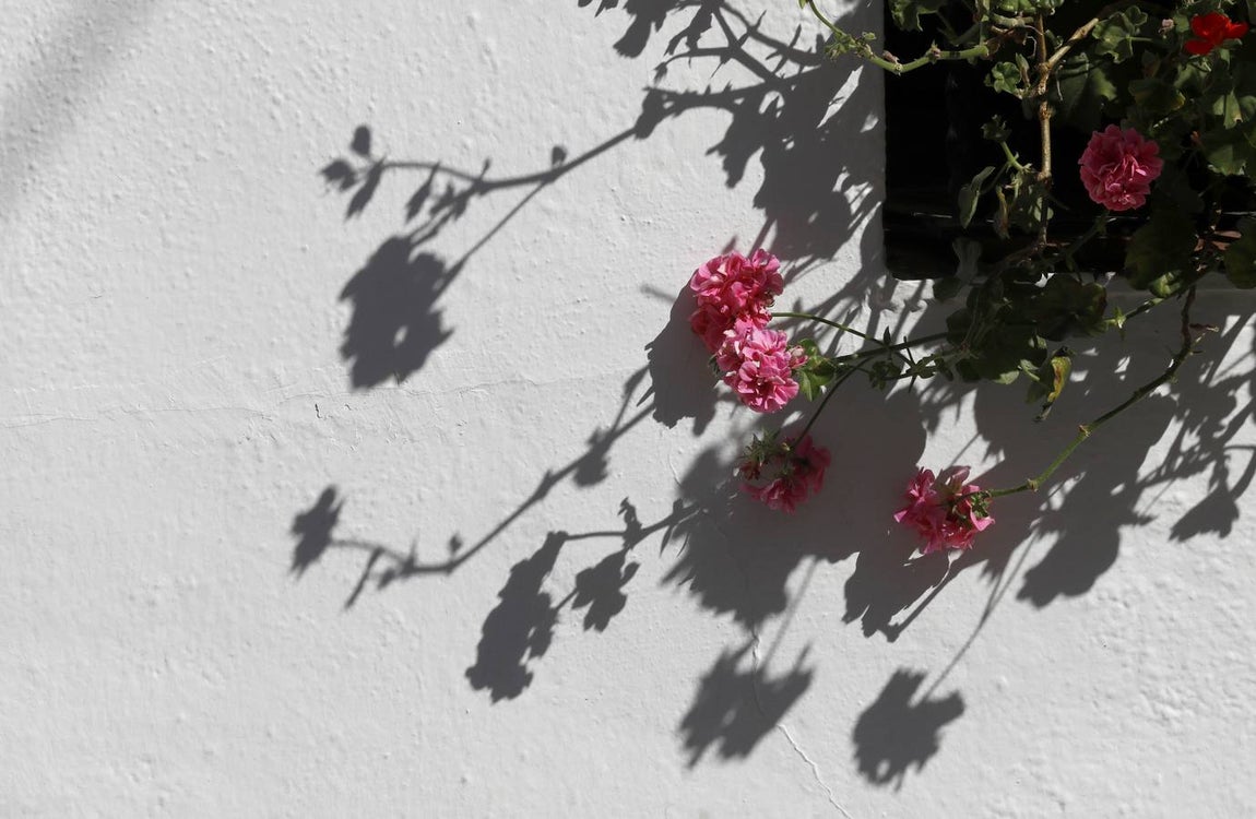 Las rejas y balcones de Córdoba, en imágenes