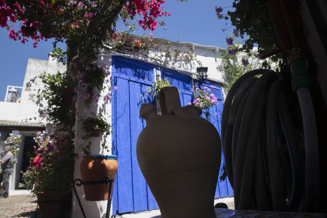 La autenticidad de los Patios de Córdoba en Santa Marina y San Agustín, en imágenes