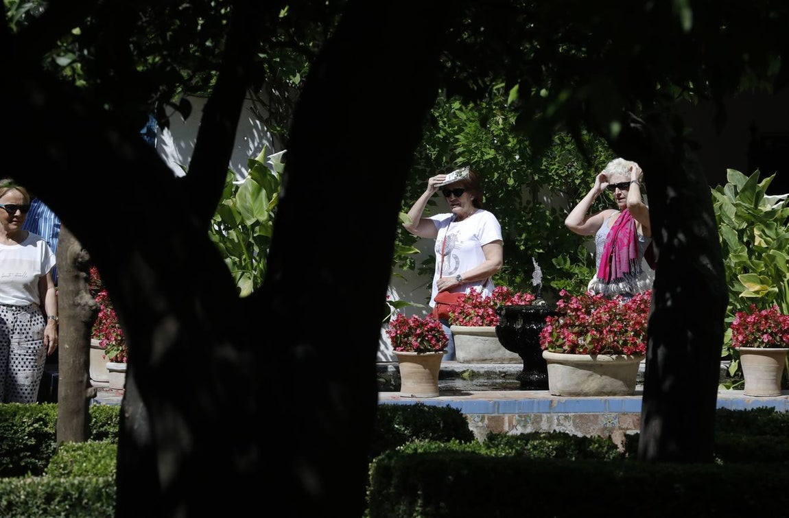 El asombro de los patios del Palacio de Viana de Córdoba, en imágenes