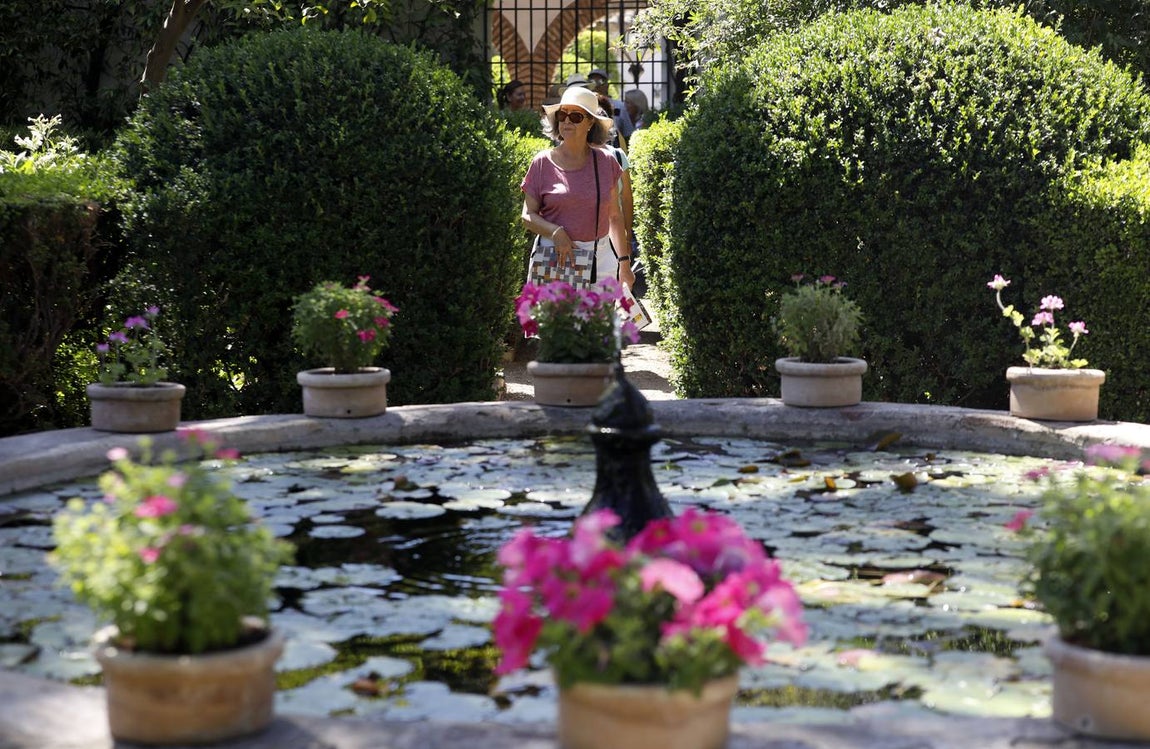 El asombro de los patios del Palacio de Viana de Córdoba, en imágenes