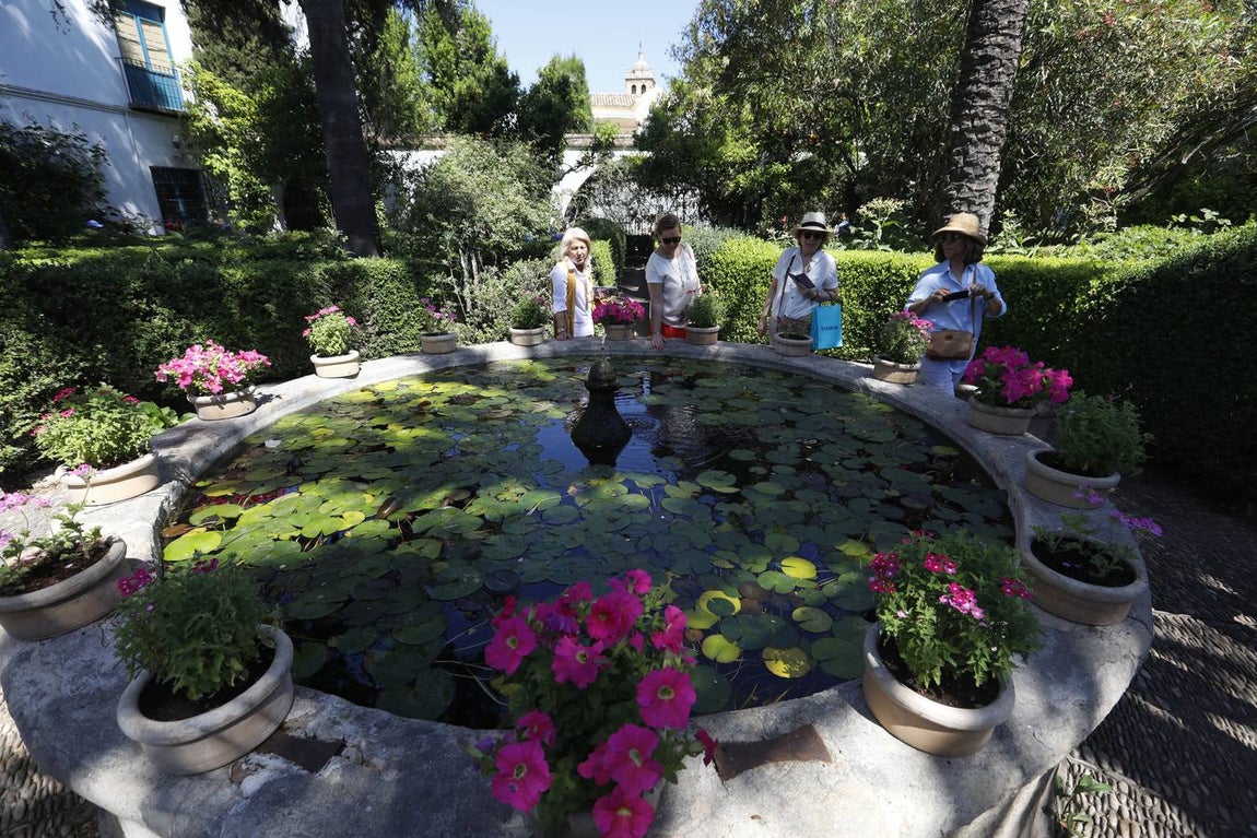 El asombro de los patios del Palacio de Viana de Córdoba, en imágenes