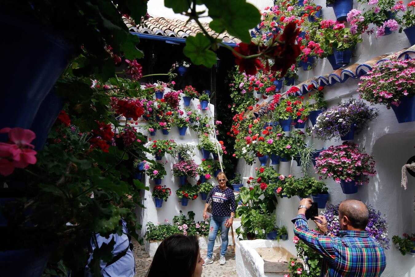 El esplendor de los patios de San Basilio-Alcázar Viejo en Córdoba, en imágenes
