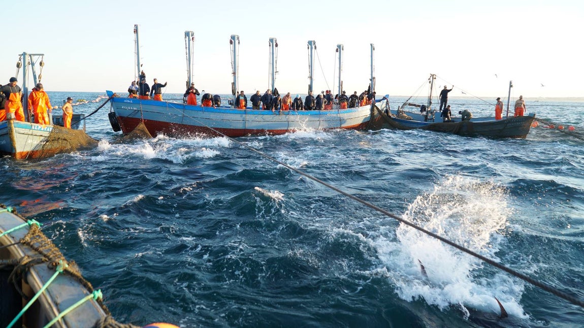 Fotogalería: Los últimos artesanos de las almadrabas