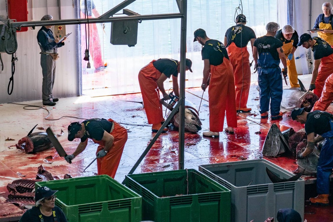 Fotogalería: Los últimos artesanos de las almadrabas