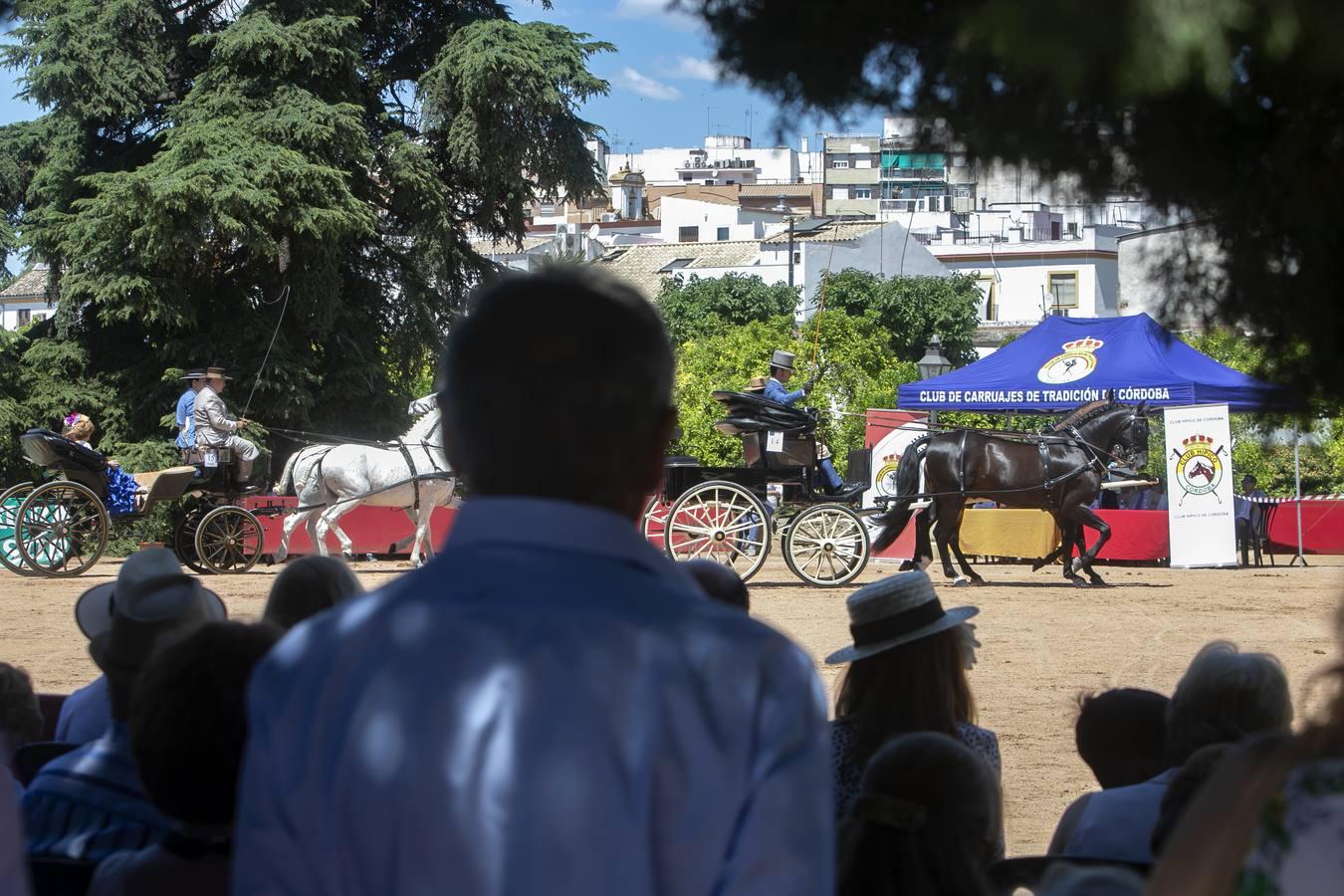 La VII Exhibición de Carruajes de Tradición de Córdoba, en imágenes