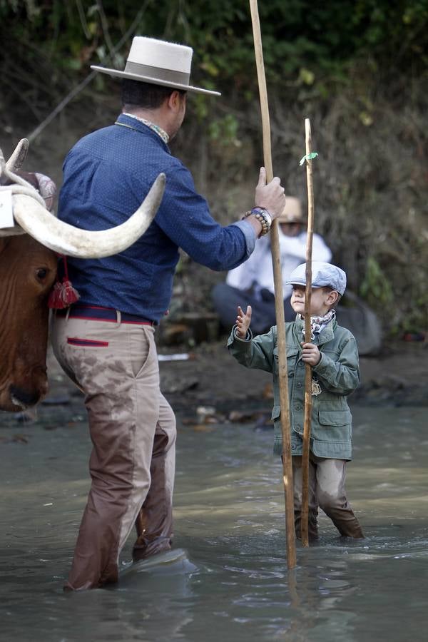 En imágenes, las hermandades de Sevilla, Triana y Sevilla Sur por el Quema (I)