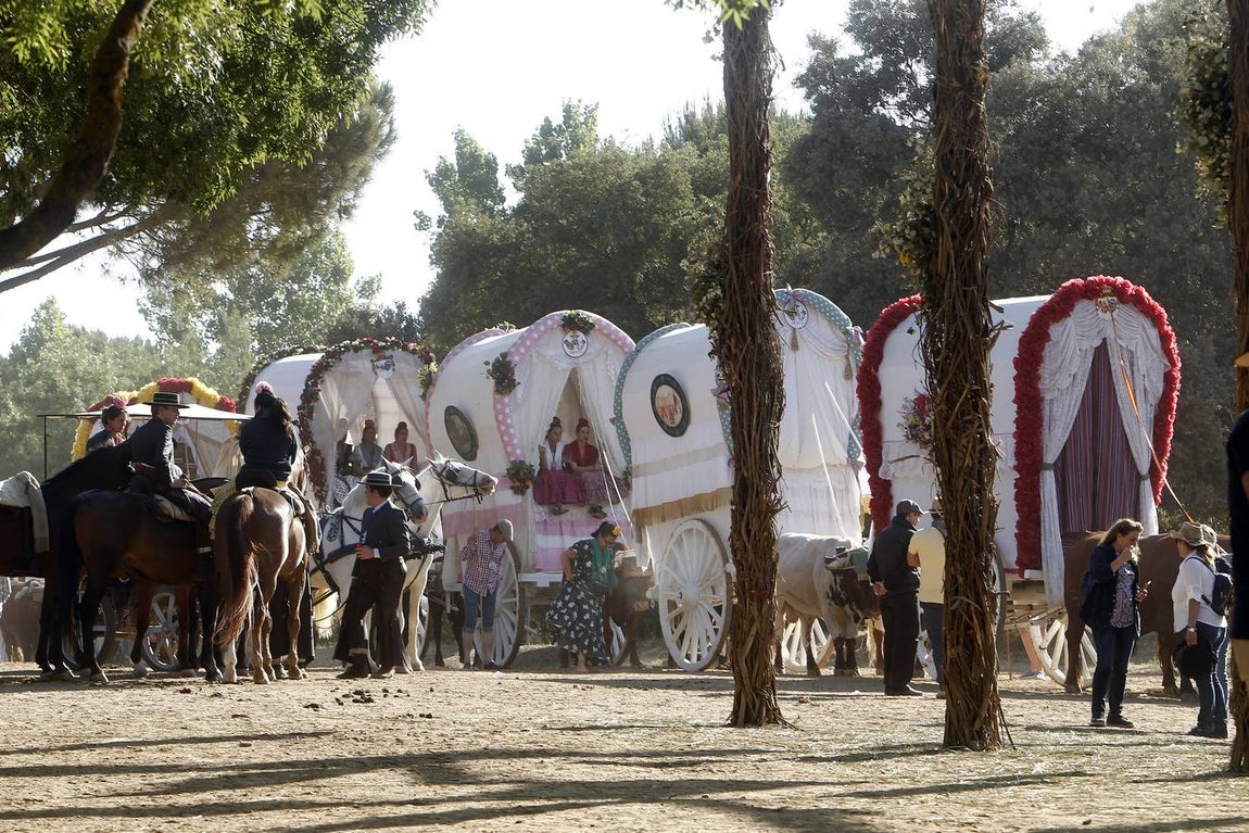 En imágenes, las hermandades de Sevilla, Triana y Sevilla Sur por el Quema (y II)