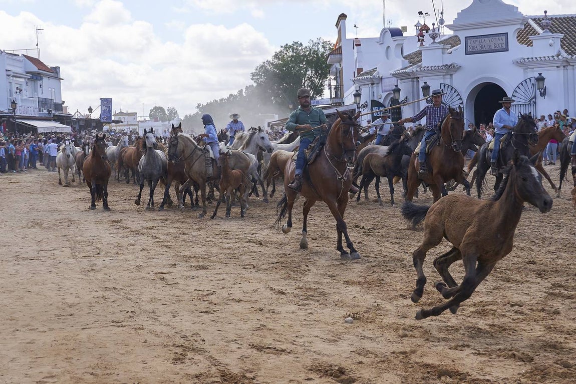 Impresionantes imágenes de la Saca de yeguas en el Rocío