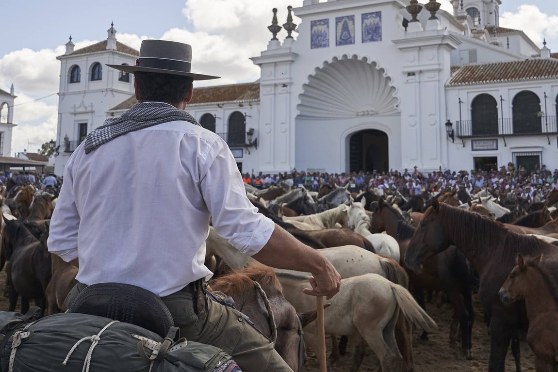 Impresionantes imágenes de la Saca de yeguas en el Rocío