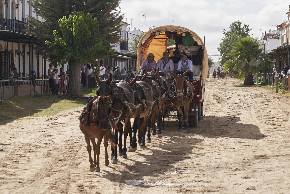 Impresionantes imágenes de la Saca de yeguas en el Rocío