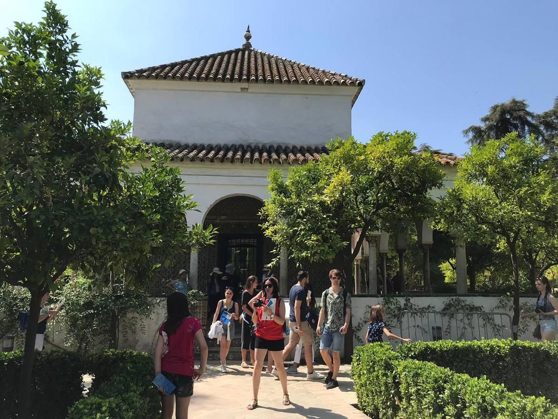 En imágenes, los desperfectos del Alcázar de Sevilla