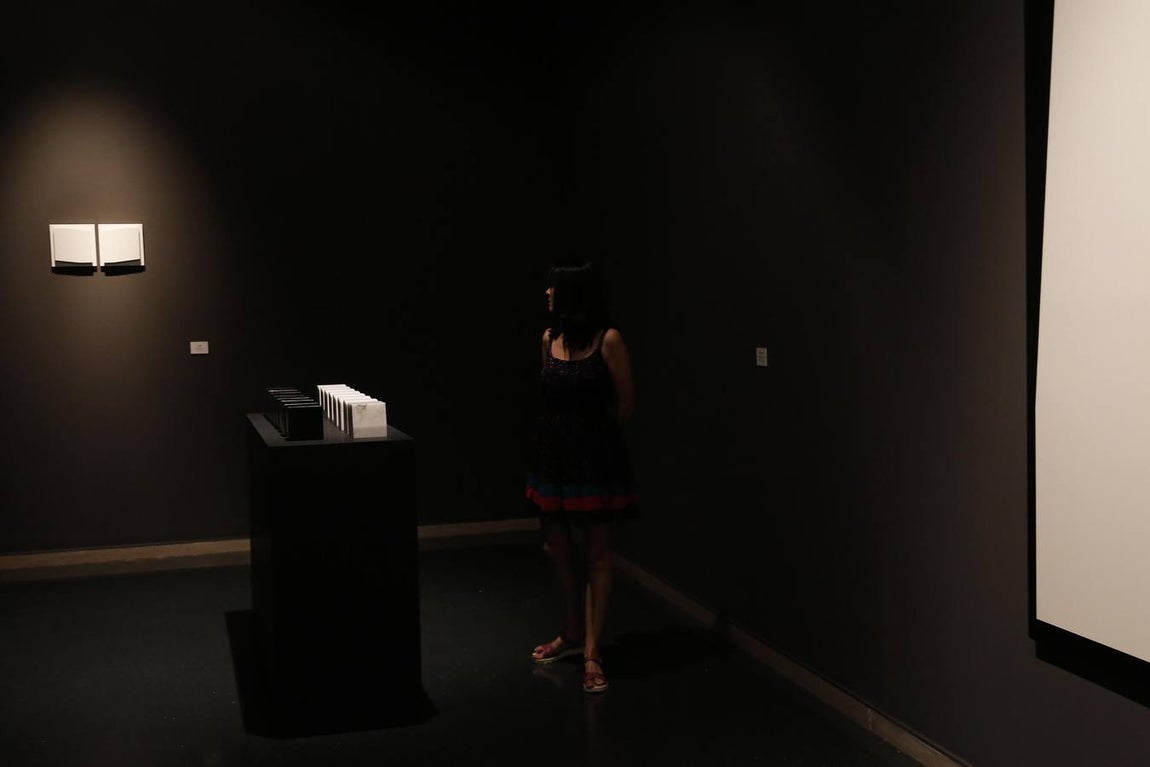 La exposición de Elena Asins en la sala Vimcorsa de Córdoba, en imágenes