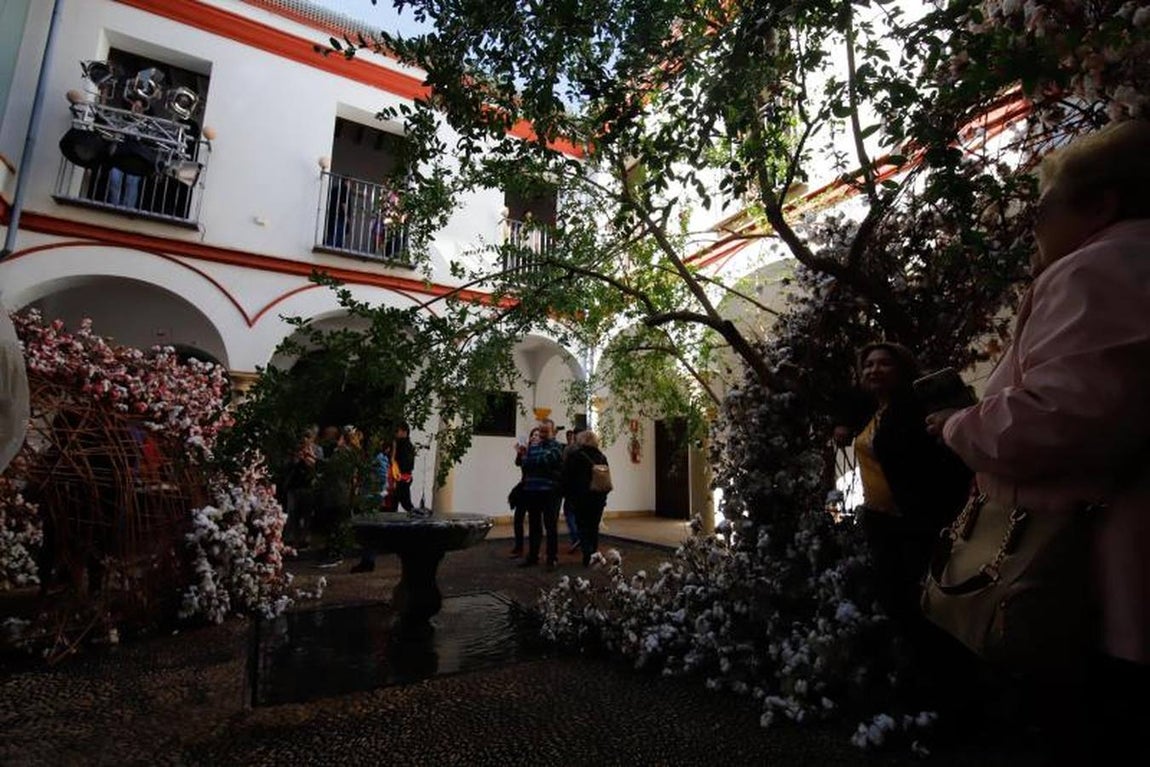 Las visitas a Flora en Córdoba, en imágenes