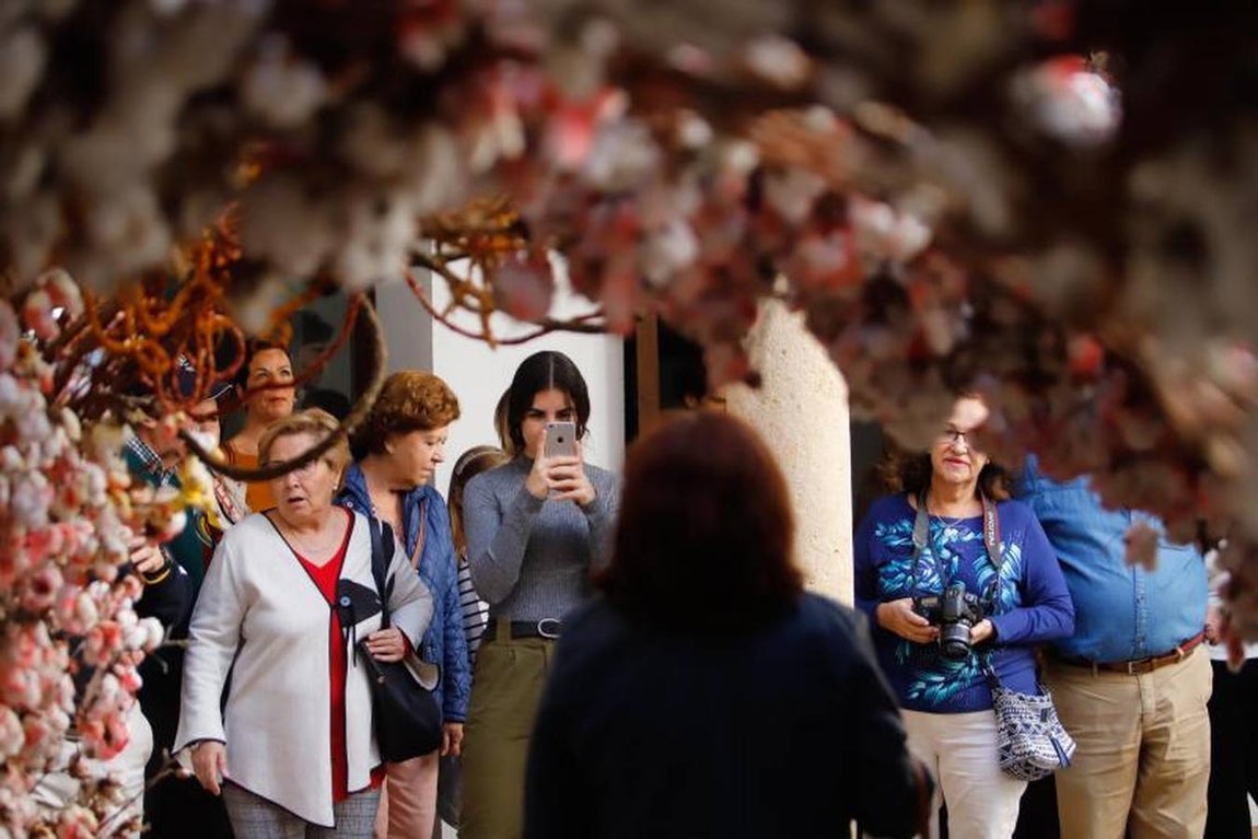 Las visitas a Flora en Córdoba, en imágenes