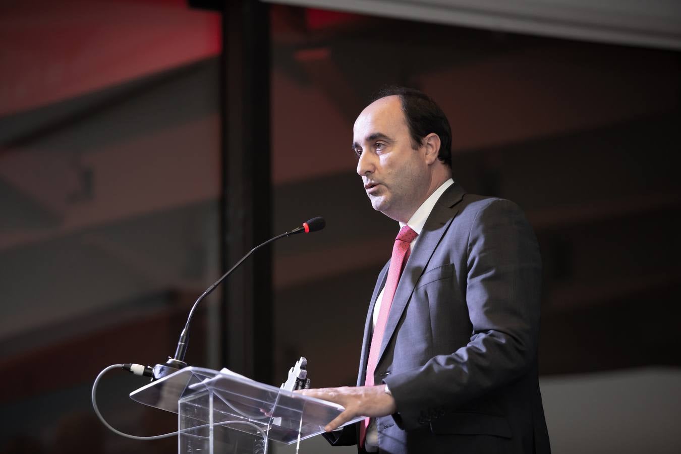 Entrega de los Premios Voluntariado 2019 de la Cruz Roja, en imágenes
